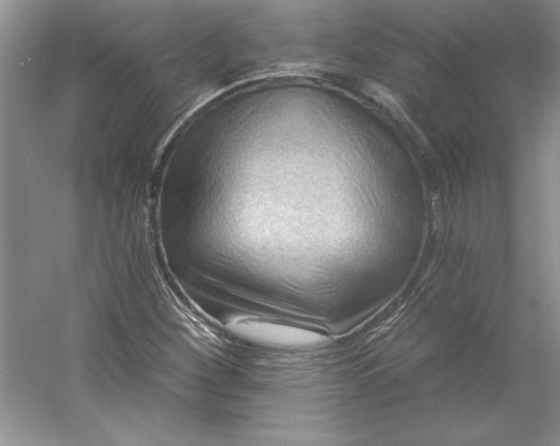 X0000053121260200507251714