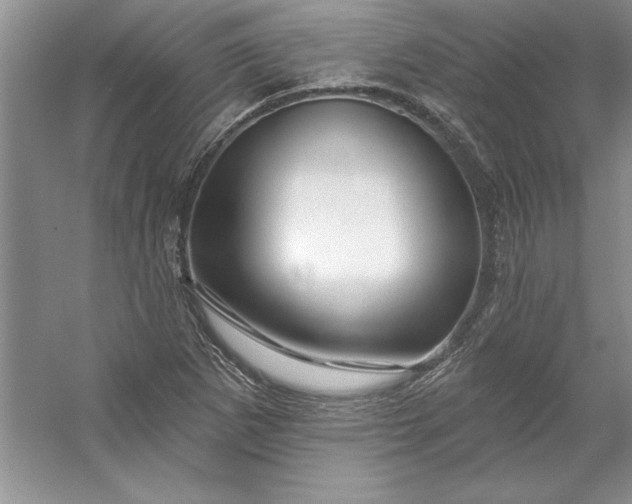 X0000053121265200507251714