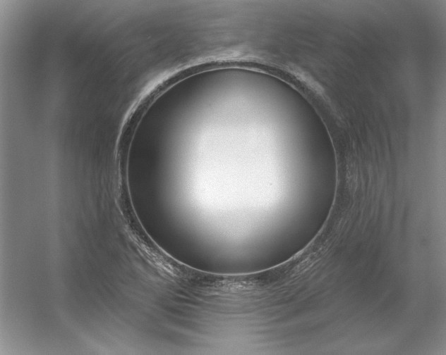 X0000053121270200507251714