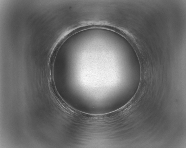 X0000053121271200507251714