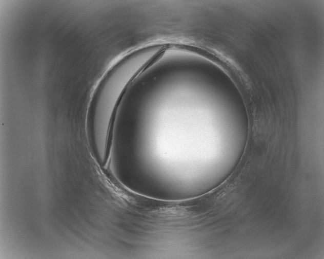 X0000053121272200507251714