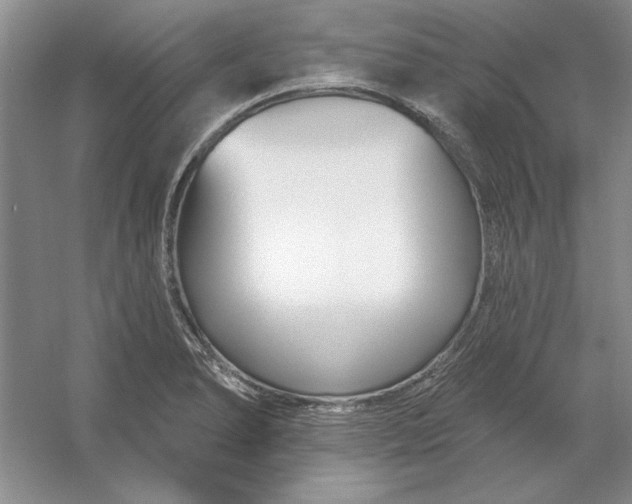 X0000053121278200507251713