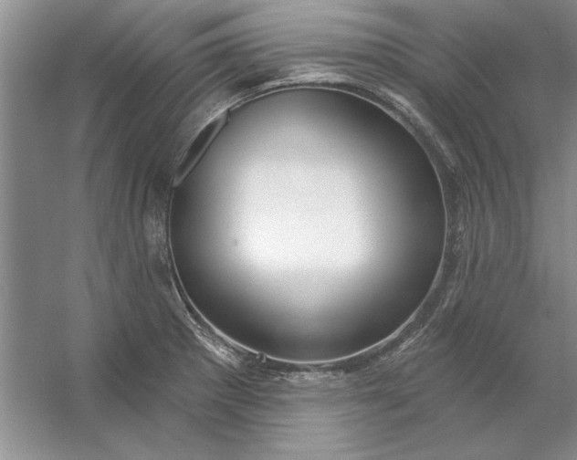 X0000053121281200507251713