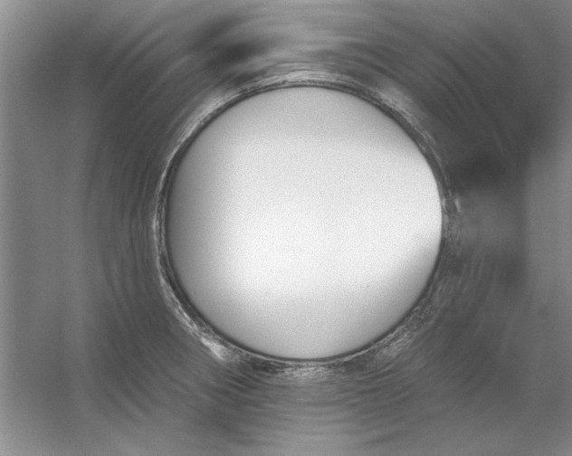 X0000053121282200507251713