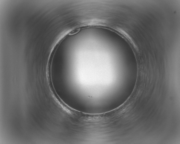 X0000053121285200507251713
