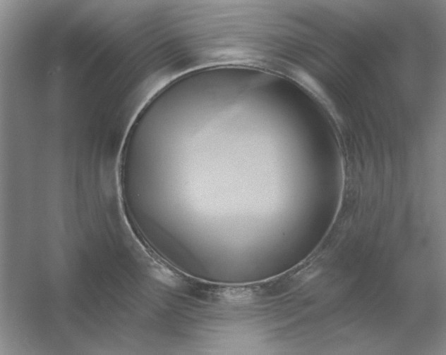 X0000053121291200507251713
