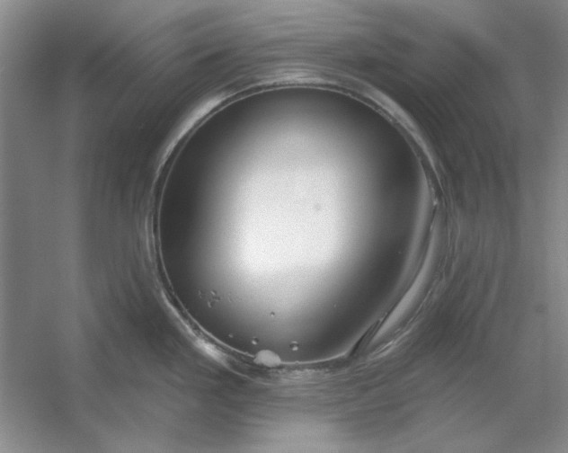 X0000053121293200507251713