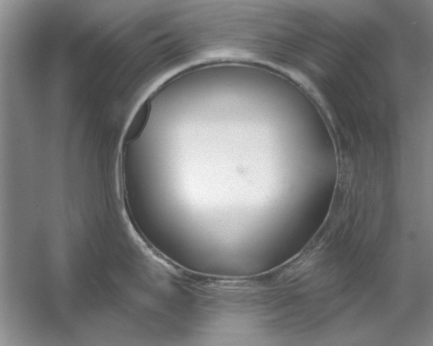 X0000053121295200507251713