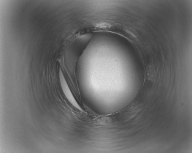 X0000053121298200507251712