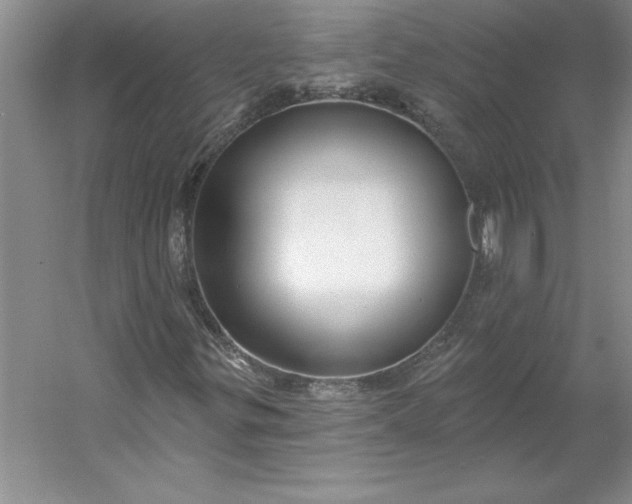 X0000053121299200507251712