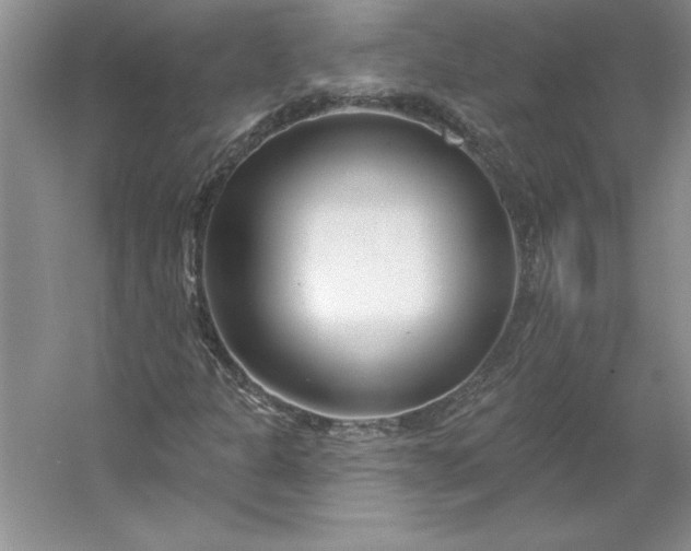 X0000053121301200507251712