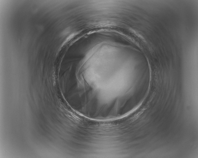 X0000053121306200507251712