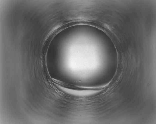 X0000053121307200507251712