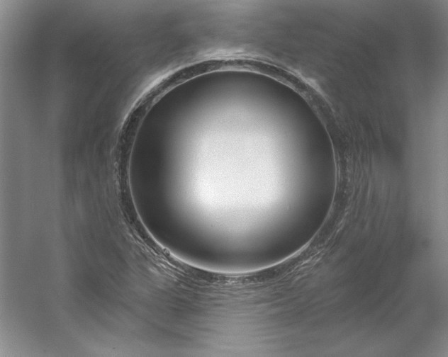 X0000053121311200507251713