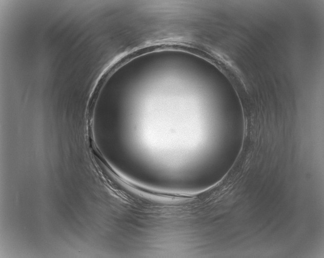 X0000053121316200507251713