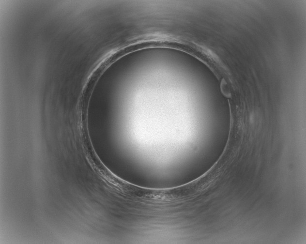 X0000053121318200507251713