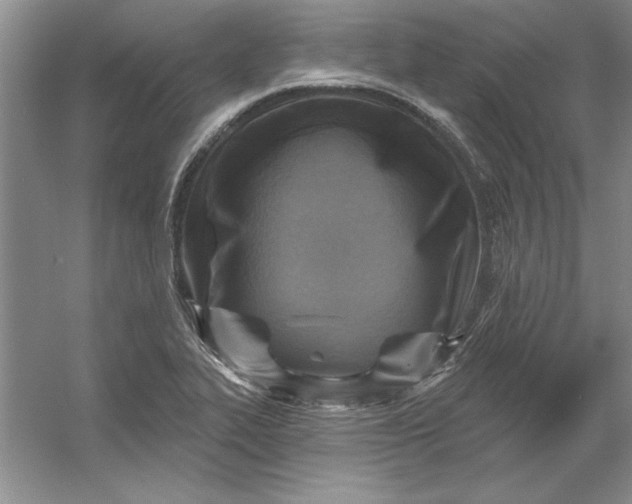 X0000053121319200507251713
