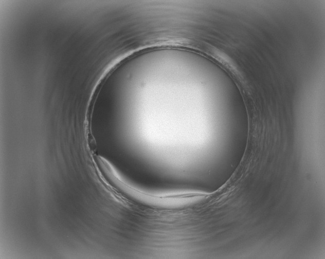 X0000053121332200507251713