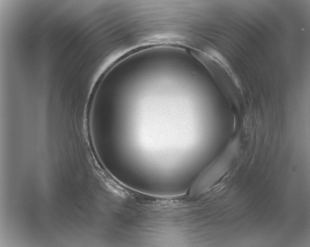 X0000053121336200507251713