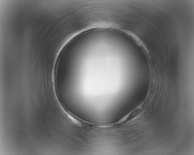 X0000053121343200507251713