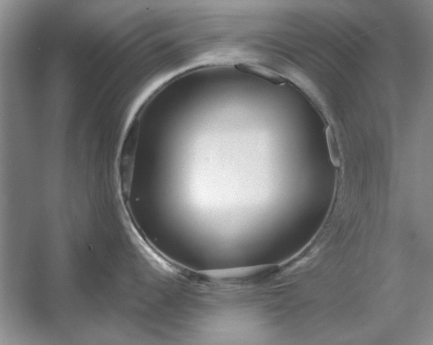 X0000053121344200507251713