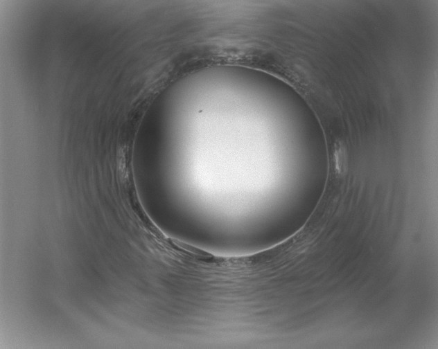 X0000053121347200507251712