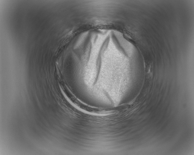 X0000053121348200507251712
