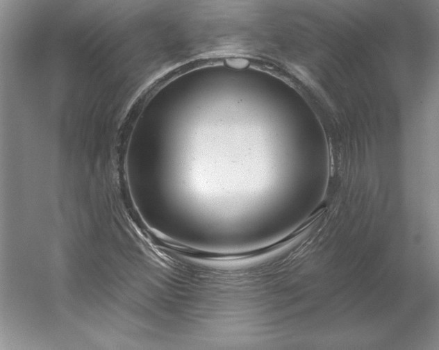X0000053121356200507251712