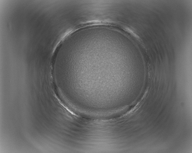 X0000053121357200507251712