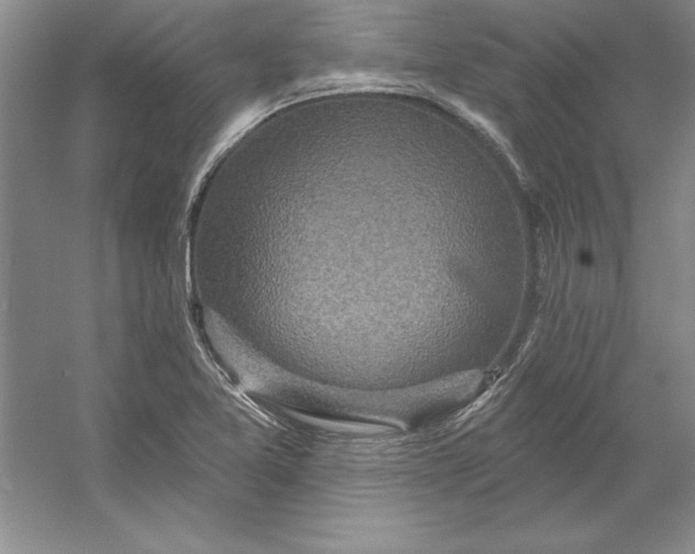 X0000053121365200507251712