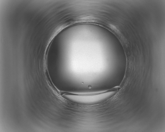 X0000053121370200507251712