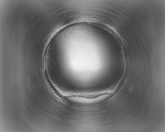 X0000053121371200507251712