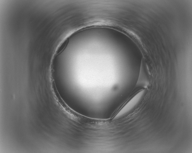 X0000053121375200507251712