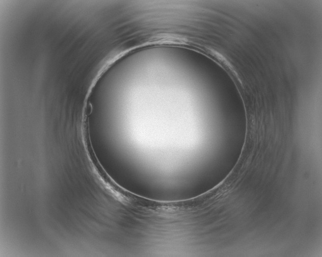 X0000053121379200507251712