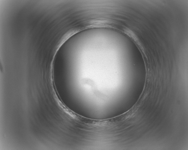 X0000053121386200507251712