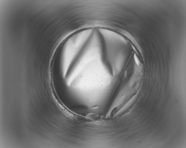 X0000053121388200507251712