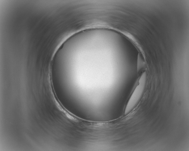 X0000053121390200507251712