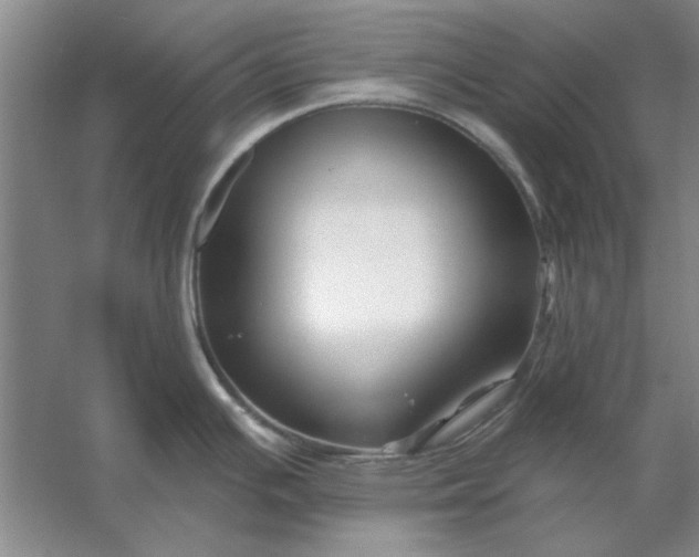X0000053121391200507251712