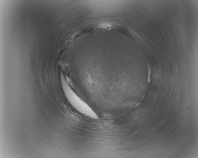 X0000053121394200507251711