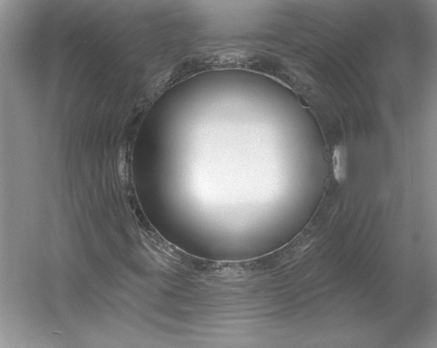 X0000053121395200507251711