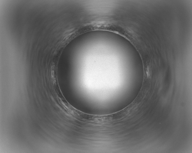 X0000053121396200507251711