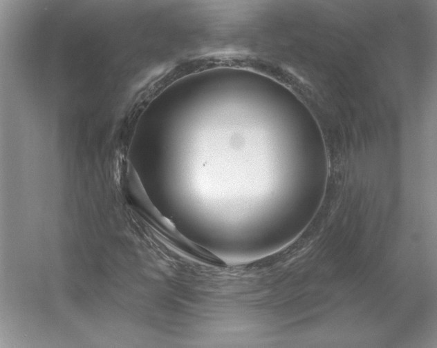X0000053121398200507251711