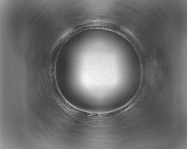 X0000053121403200507251711