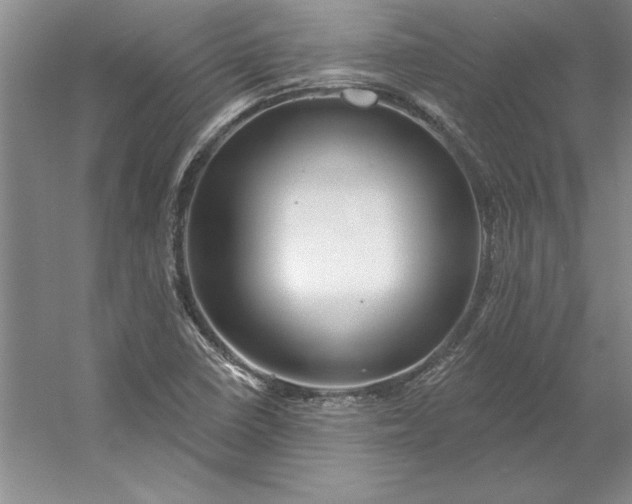 X0000053121410200507251711