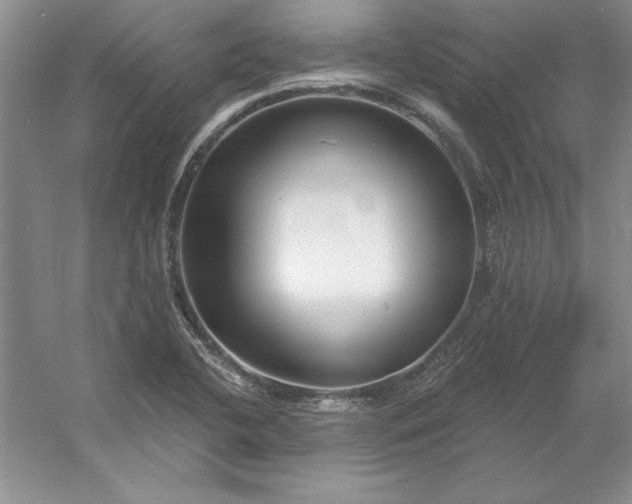 X0000053121412200507251711