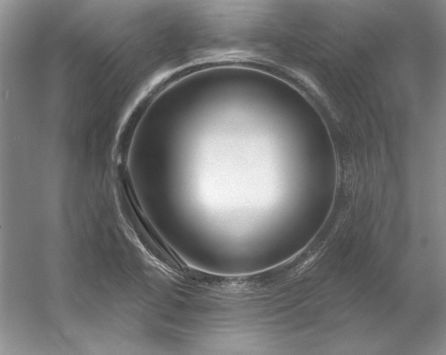 X0000053121414200507251711