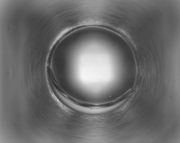 X0000053121422200507251711