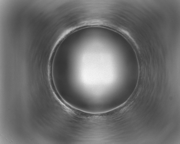 X0000053121424200507251711