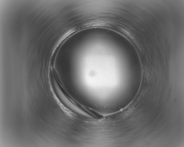 X0000053121426200507251711