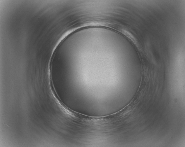 X0000053121428200507251711